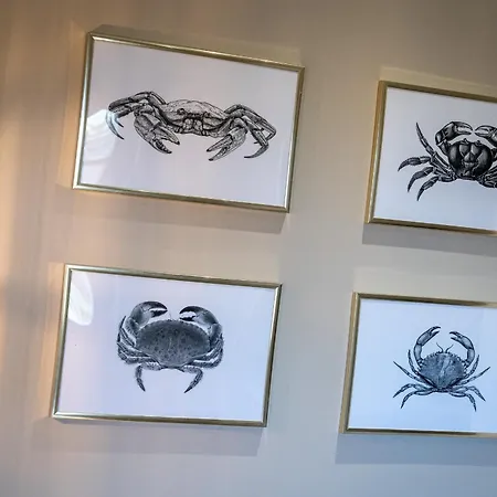 Apartmán Hummergrund Pagurus