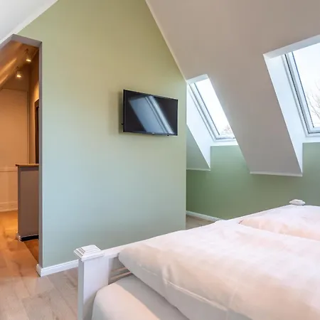 Hummergrund Pagurus * Sankt Peter-Ording