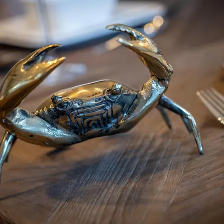 Hummergrund Pagurus * Sankt Peter-Ording