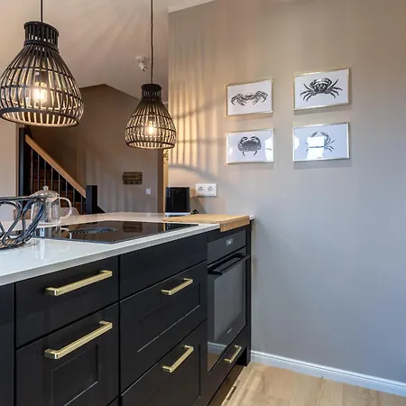 Hummergrund Pagurus Sankt Peter-Ording