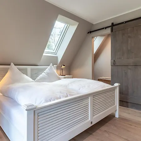 Hummergrund Pagurus *