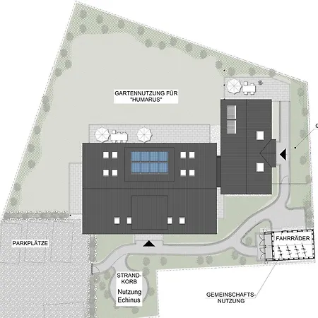 Hummergrund Pagurus * Sankt Peter-Ording